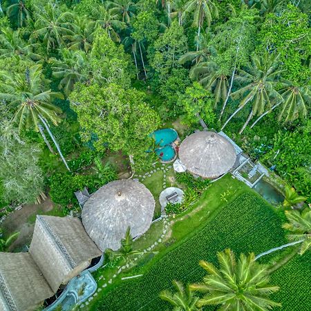 Bamboo Cabin Sanctuary By Nusantara Hospitality Ubud Eksteriør billede