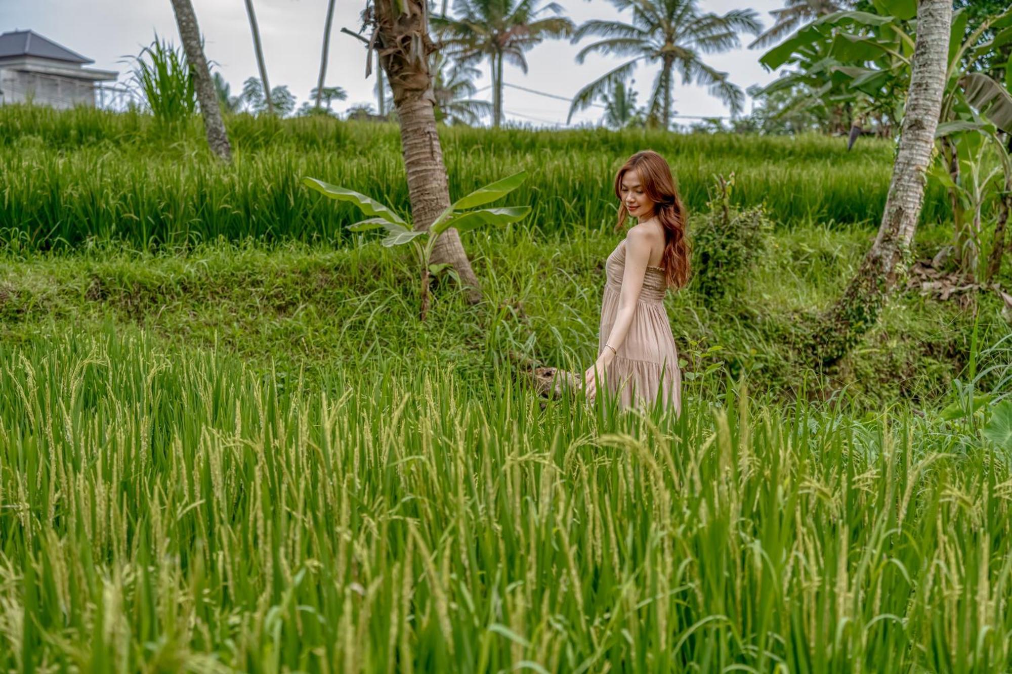 Bamboo Cabin Sanctuary By Nusantara Hospitality Ubud Eksteriør billede