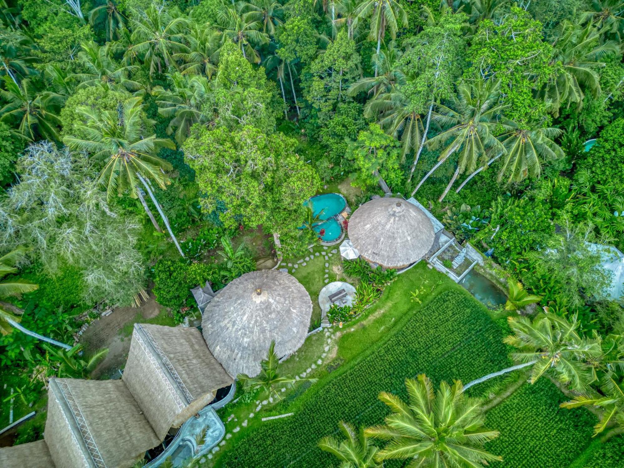 Bamboo Cabin Sanctuary By Nusantara Hospitality Ubud Eksteriør billede